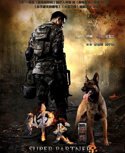 电视剧神犬奇兵分集剧情介绍演员表（1-38）全集大结局