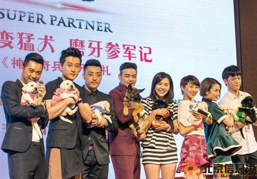 电视剧神犬奇兵分集剧情介绍演员表（1-38）全集大结局