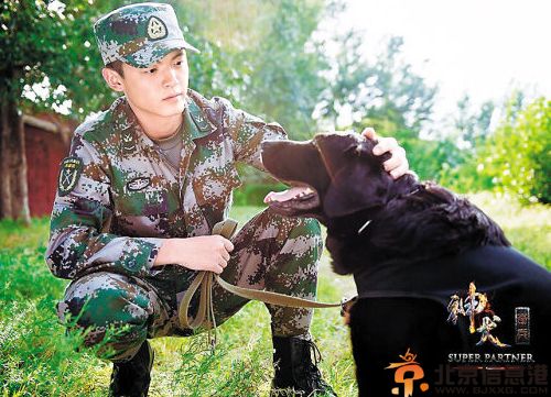 电视剧神犬奇兵分集剧情介绍演员表（1-38）全集大结局