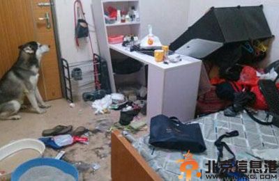 喵星人搞笑图片集 论阿喵脸大的悲剧