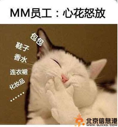 喵星人搞笑图片集 论阿喵脸大的悲剧