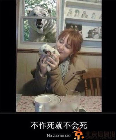 搞笑图片最快的减肥方法 喵星人教你一秒瘦身