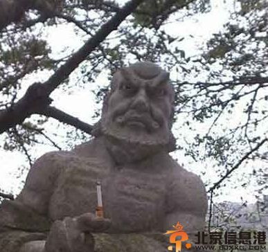 搞笑图片最快的减肥方法 喵星人教你一秒瘦身