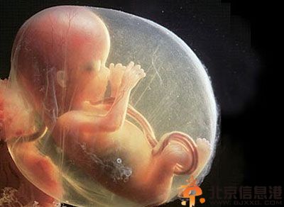 胎儿发育过程图片 胎儿发育全过程高清图文详解