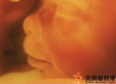 胎儿发育过程图片 胎儿发育全过程高清图文详解