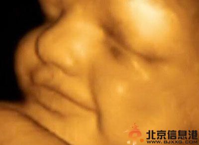 胎儿发育过程图片 胎儿发育全过程高清图文详解