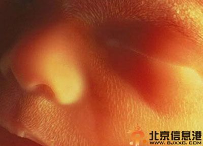 胎儿发育过程图片 胎儿发育全过程高清图文详解
