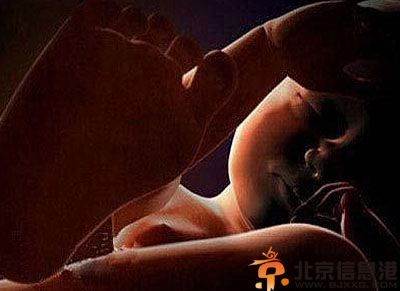 胎儿发育过程图片 胎儿发育全过程高清图文详解