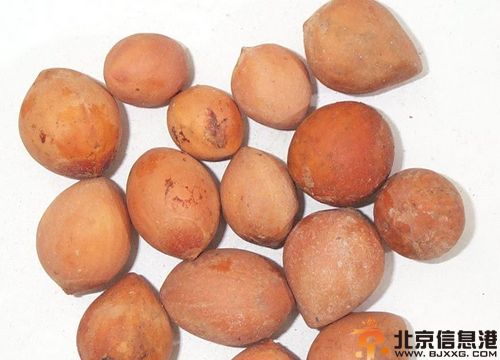 儿童驱虫药有哪些 驱虫药怎么吃注意事项