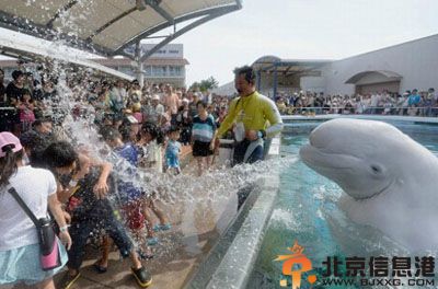 搞笑图片单身男性就餐送手纸 为什么要送手纸