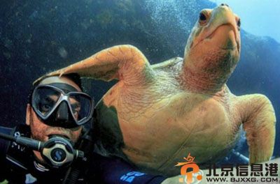 亮点图这衣服适合他么 道高一尺魔高一丈呀