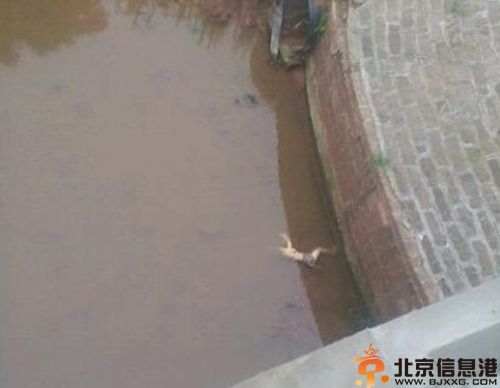 重庆女主播陈霞资料生活照 被害抛尸湖中现场图片嫌疑人被捕