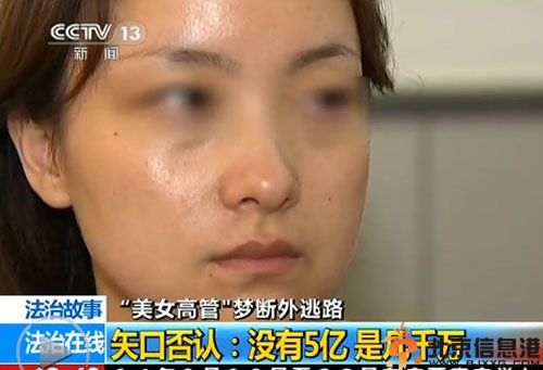泛鑫美女老总陈怡个人资料背景照片 传其老公是江杰