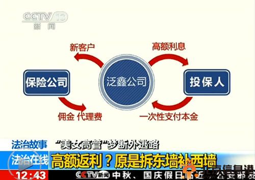 泛鑫美女老总陈怡个人资料背景照片 传其老公是江杰
