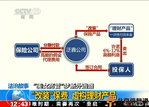 泛鑫美女老总陈怡个人资料背景照片 传其老公是江杰