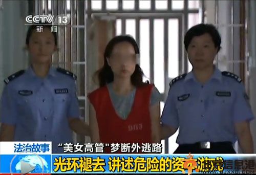 泛鑫美女老总陈怡个人资料背景照片 传其老公是江杰