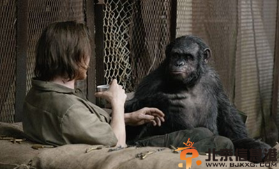 电影猩球崛起2黎明之战什么时候上映 曝出百度影音高清完整版预告