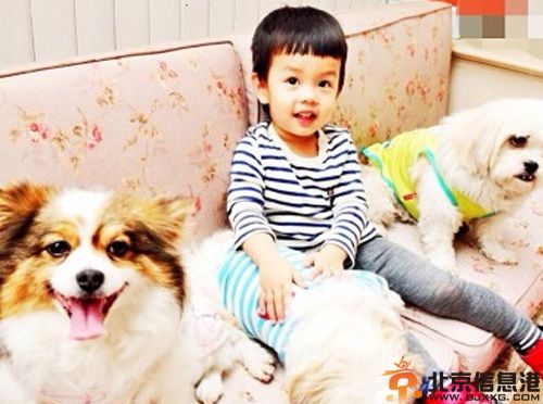 邓超儿子邓涵之女儿邓涵一个人资料近照 等等小花文艺名字萌萌哒