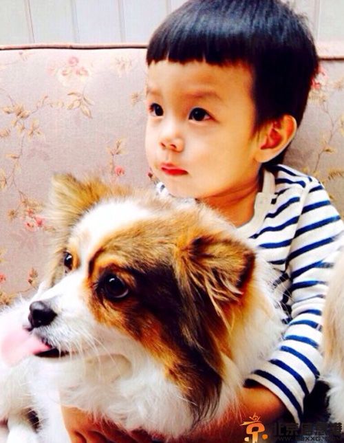 邓超儿子邓涵之女儿邓涵一个人资料近照 等等小花文艺名字萌萌哒