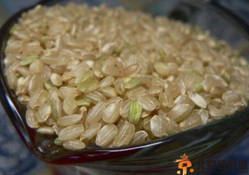 便秘怎么调理吃食疗 4款糙米食谱来帮你