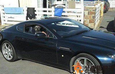 英国狗狗Scruff开豪车驾游艇图片曝光 狗界007微博网络走红