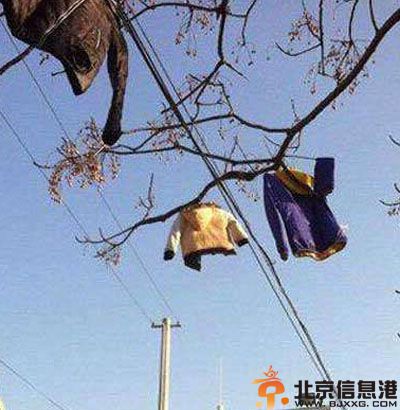 搞笑图片好彪悍的美人鱼 我有特别的晾衣技巧