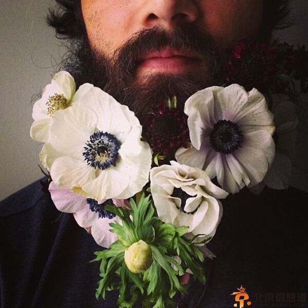 另类男人胡子插花照片 花胡子画面太美看着看着都醉了