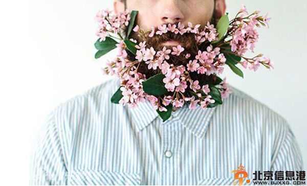 另类男人胡子插花照片 花胡子画面太美看着看着都醉了
