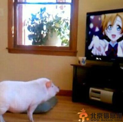 亮点图好独特的雕像 这种雕塑真的没问题么