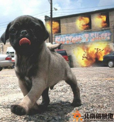 亮点图好独特的雕像 这种雕塑真的没问题么