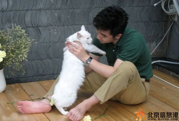 主持人芮成钢女友个人资料 其简历微博遭热搜