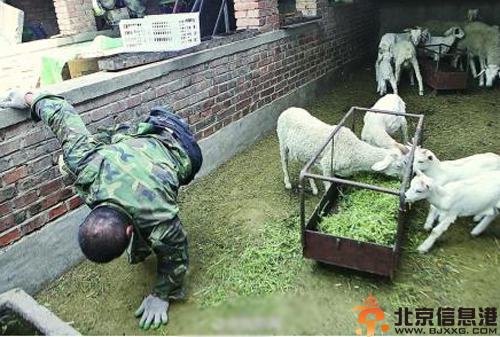 揭无腿硬汉王晓兵照片资料背景 用半身撑起一个家