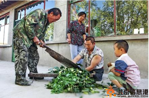 揭无腿硬汉王晓兵照片资料背景 用半身撑起一个家