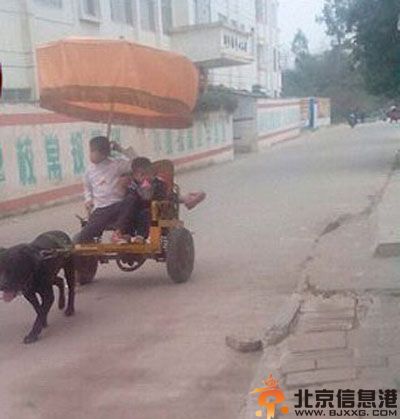 搞笑图片看肉的阿汪很忧伤 一直不懂这货怎么穿衣服