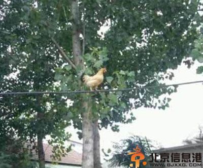 亮点图片简直不忍直视 这应该就是真爱了