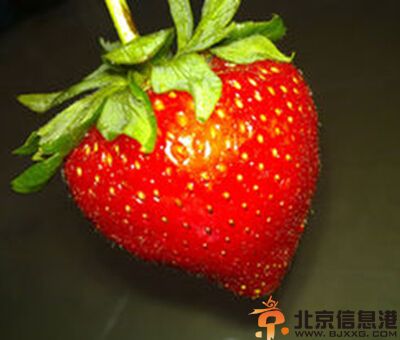 抗衰老食品有哪些 多吃衰老的食物让你青春常驻
