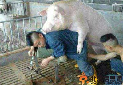 搞笑图片这智商基本就告别网购了 来看看生活的艰辛