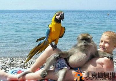 地铁上的一幕太亮了 猴哥总是那么妖娆