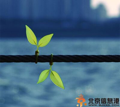 四大血型什么血型最耐寒 你喜欢酷暑还是严冬