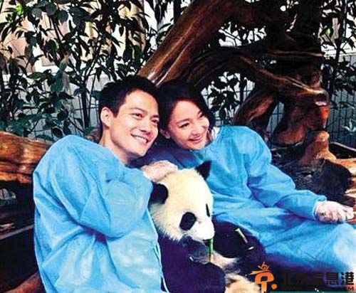 周迅欲结婚生子消息被爆 准备年底嫁男友高圣远