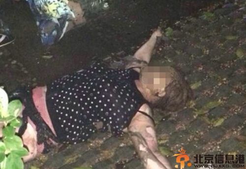 广州公交车纵火嫌犯欧某个人资料照片 因赌博输钱心生不忿而纵火