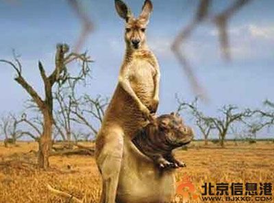 搞笑图片图片太美不忍心看 帅哥的节操掉地上了