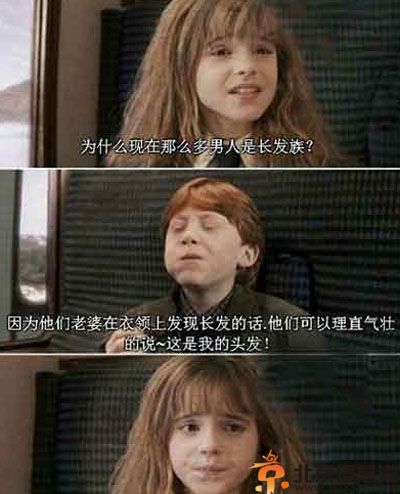 亮点图二逼狗儿伤不起 图解男人留长发的原因