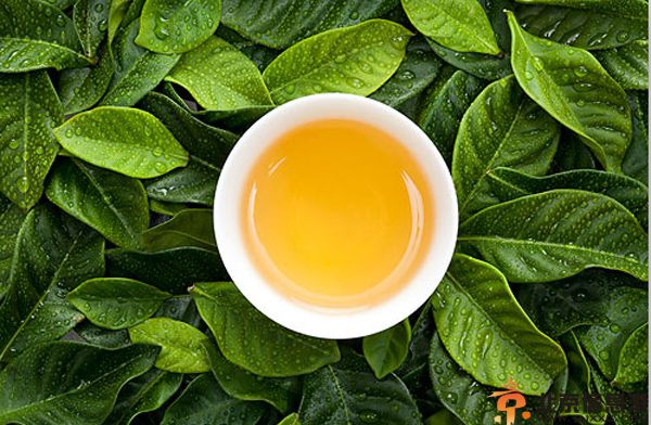 最有效的美白小偏方推荐 茶叶水洗美白祛斑延缓衰老