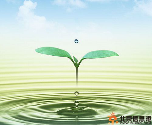 白羊座最佳配对<a href='http://www.bjxxg.com/health/xinli/' target='_blank'><u>星座</u></a>解析 白羊座与水瓶座最协调