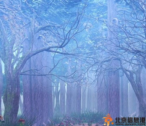 十二星座最怕什么 热情奔放的白羊最怕失败