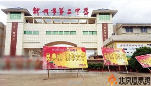 广西钦州考霸吴善柳个人资料及照片 高考10年8次名校录取