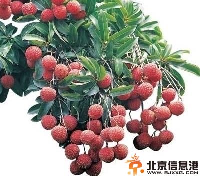 治疗糖尿病的中草药推荐 了解最简单糖尿病食疗法