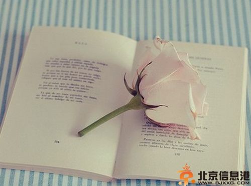 水瓶座和什么座最配 水瓶座女生男生性格分析