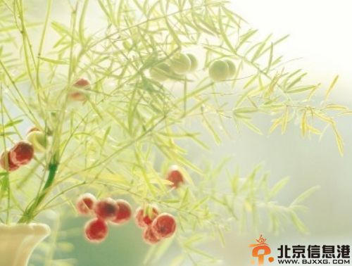 巨蟹座男生的性格特点分析 最温柔体贴也最浪漫细心
